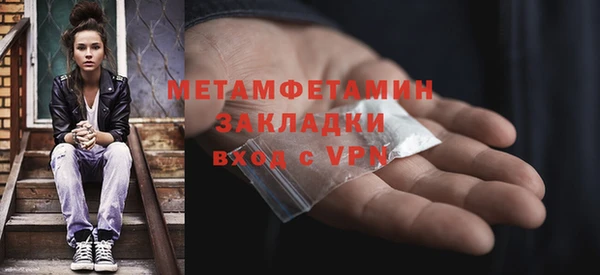 прущие грибы Инсар