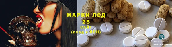 прущие грибы Инсар