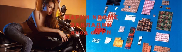 прущие грибы Инсар