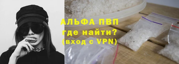 прущие грибы Инсар