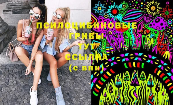 прущие грибы Инсар