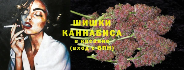 шишки Каменка