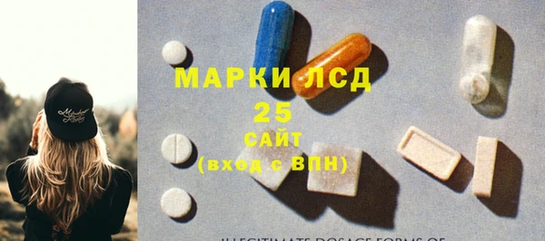 шишки Каменка