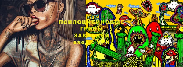 прущие грибы Инсар