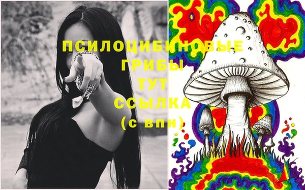 прущие грибы Инсар